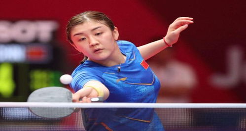 杨畅表示 杨畅表示